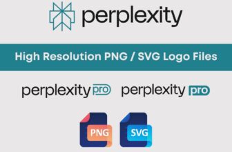 Perplexity Pro logo icon in teal blue with clean white background